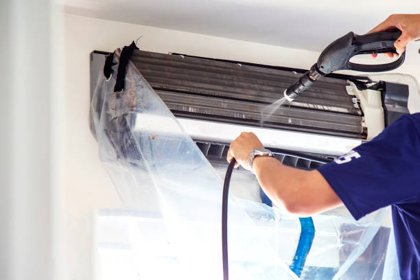 Best Air Duct Mold Removal  in Hernando, FL