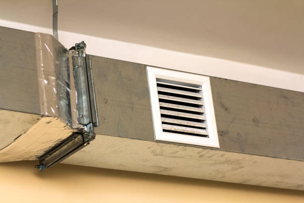 Air Duct Mold Removal in Hernando, FL